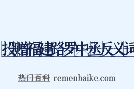 投赠福建路罗中丞反义词是什么意思的图片